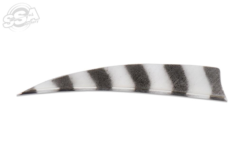 Plume Naturelle Shield Barrée 4"