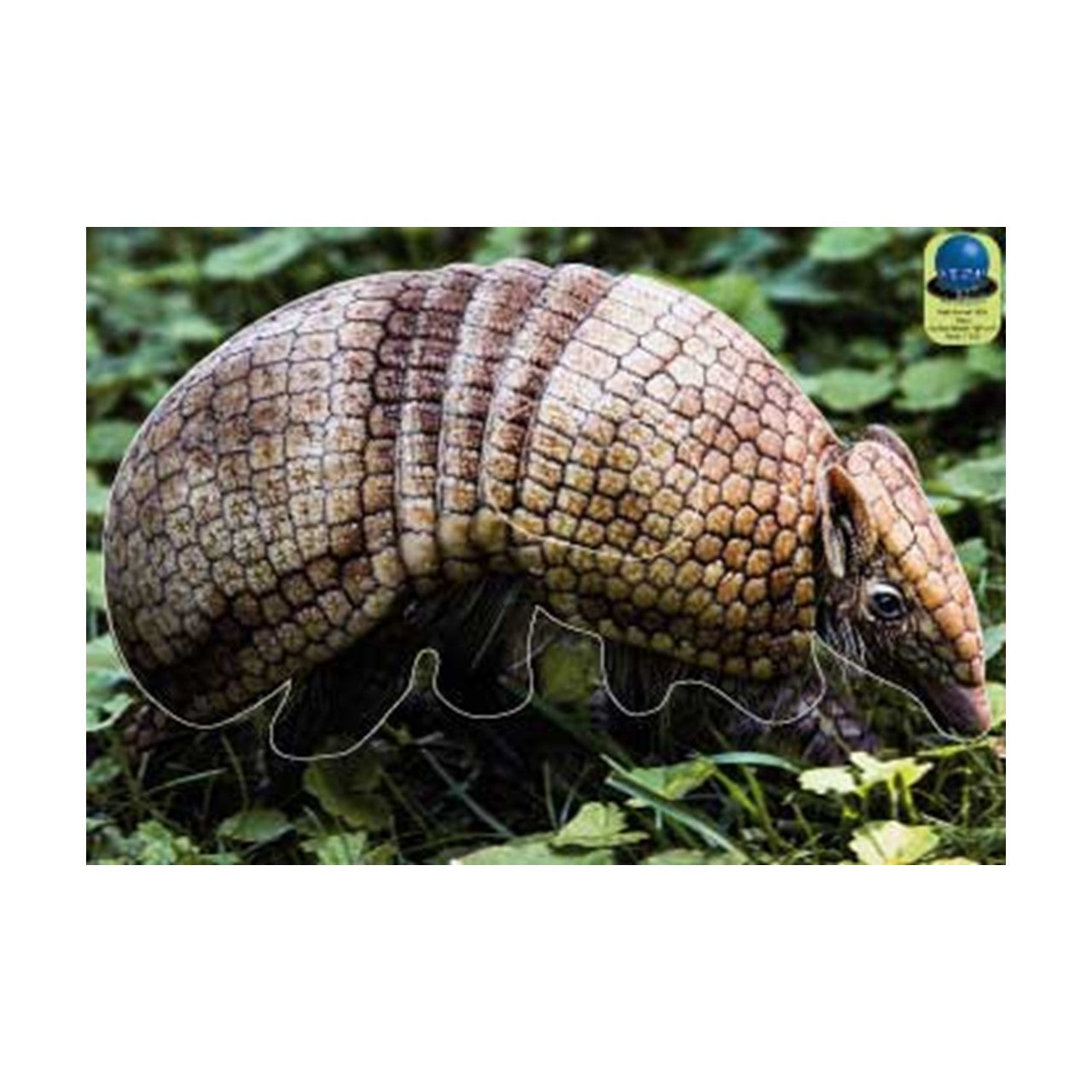 Blasons Nature 308 sur bâche - Ai2M