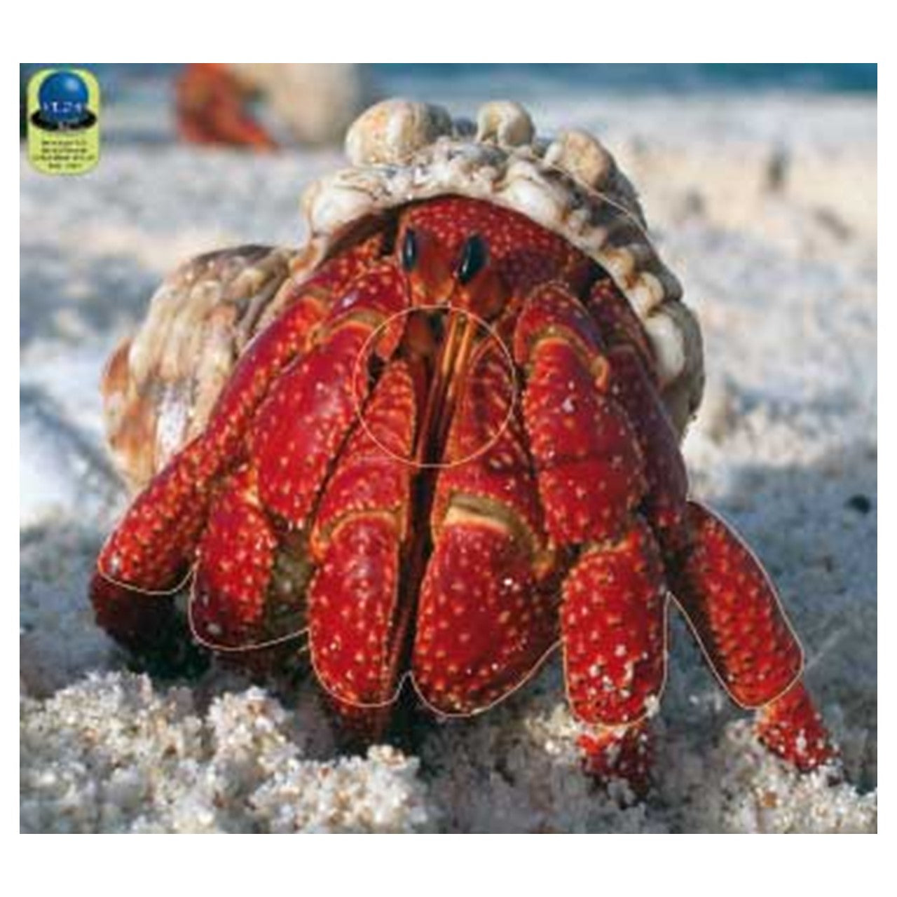 Blasons Nature 352 sur bâche - Ai2M