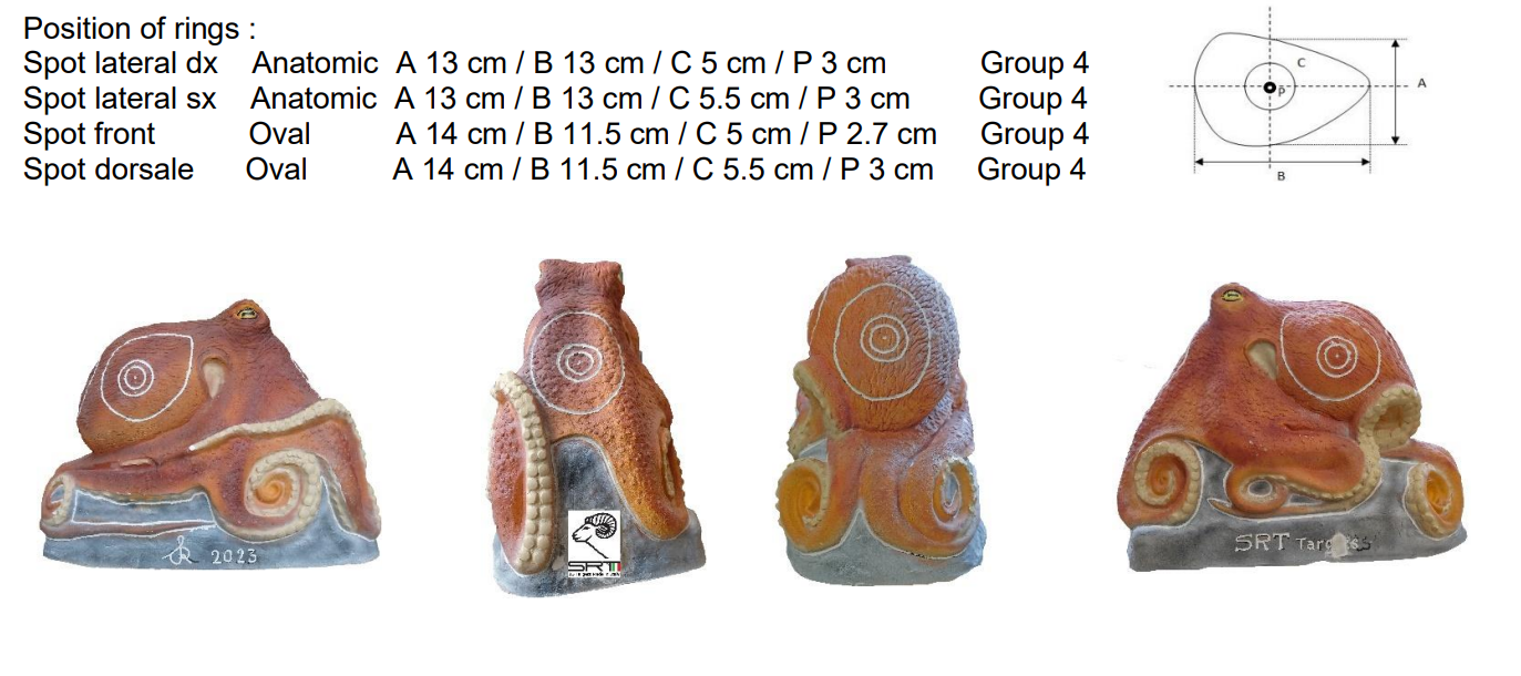 Poulpe Cible 3D - SRT