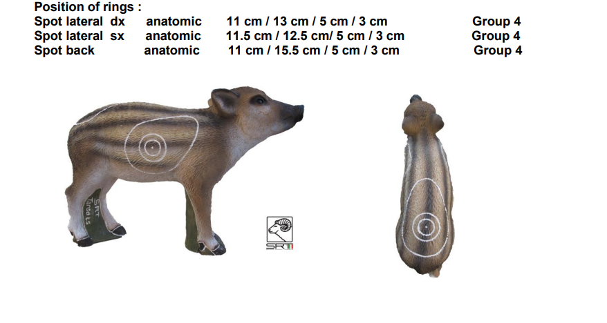 Marcassin Cible 3D - SRT