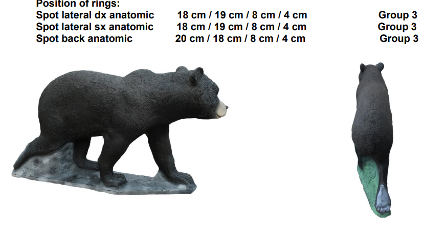 Ourson Brun Cible 3D - SRT