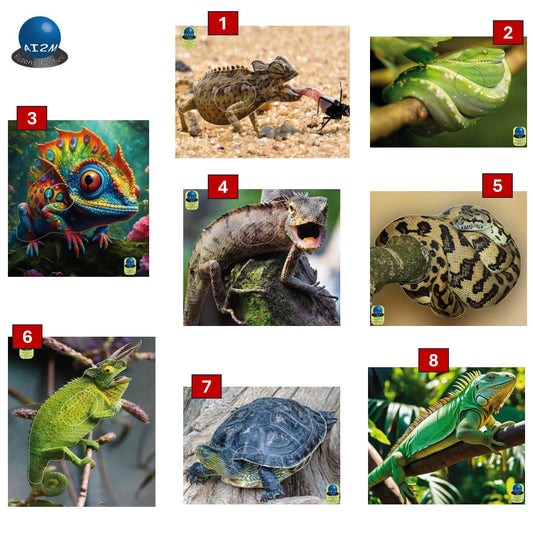 Blasons reptiles petits animaux - Ai2M