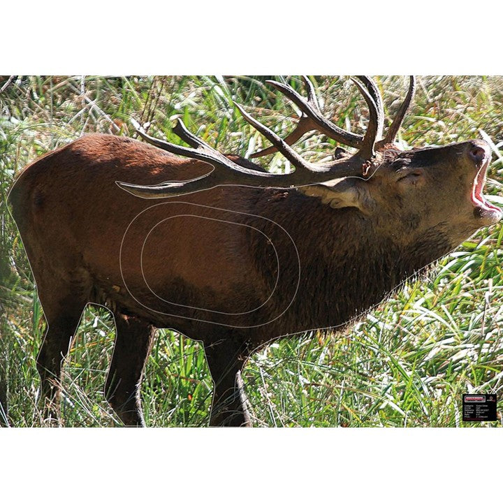Blason animalier Cerf - Maximal