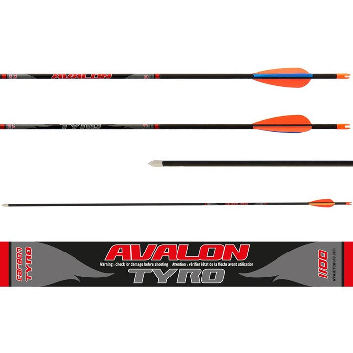 Flèche TYRO ID4.2 - Avalon