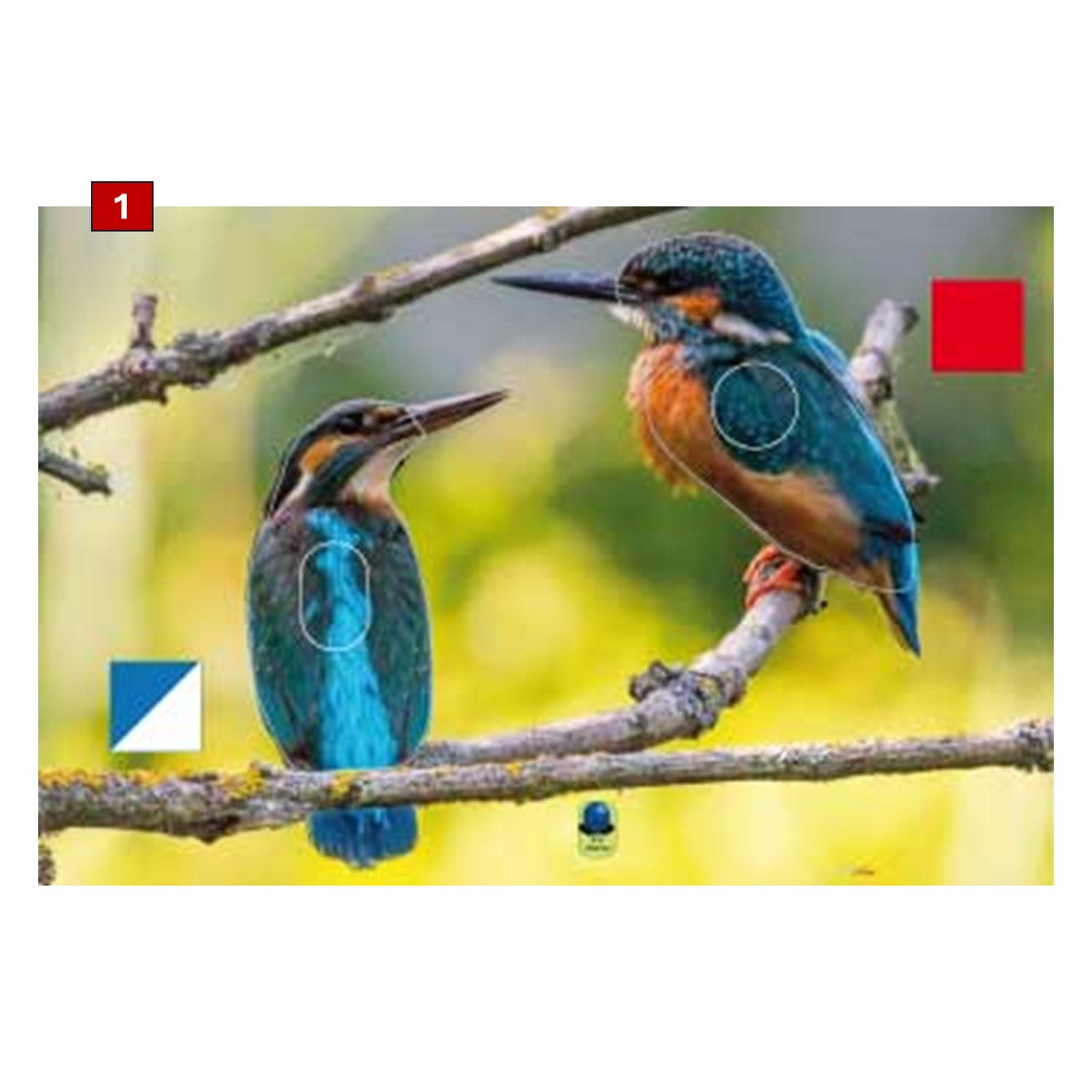Blasons doubles petits animaux - Ai2M