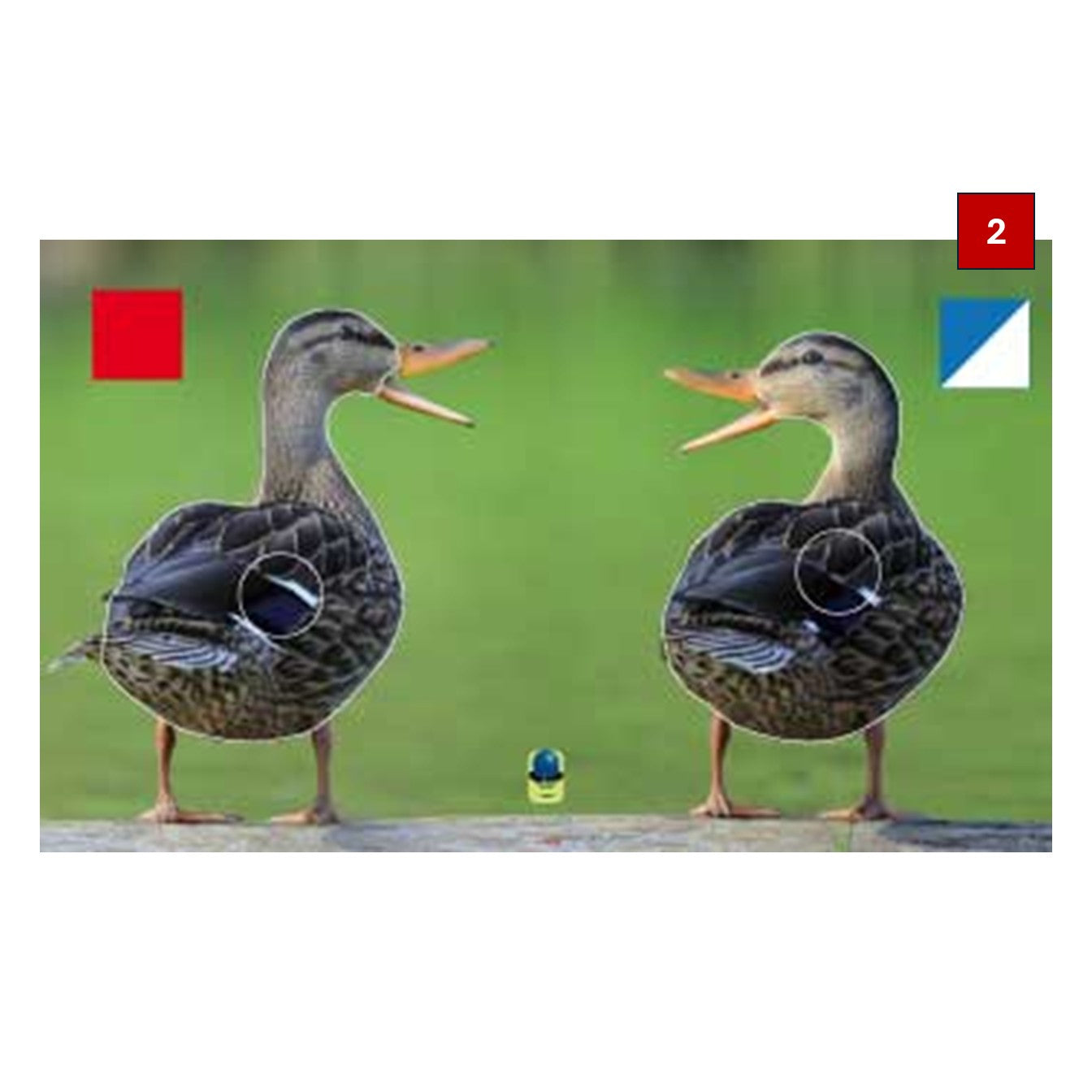 Blasons doubles petits animaux - Ai2M