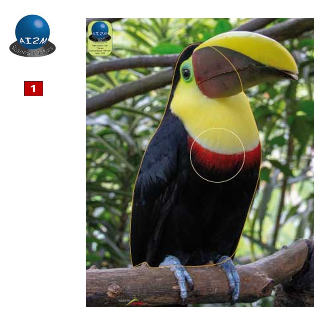 Blasons petits animaux 0 - Ai2M