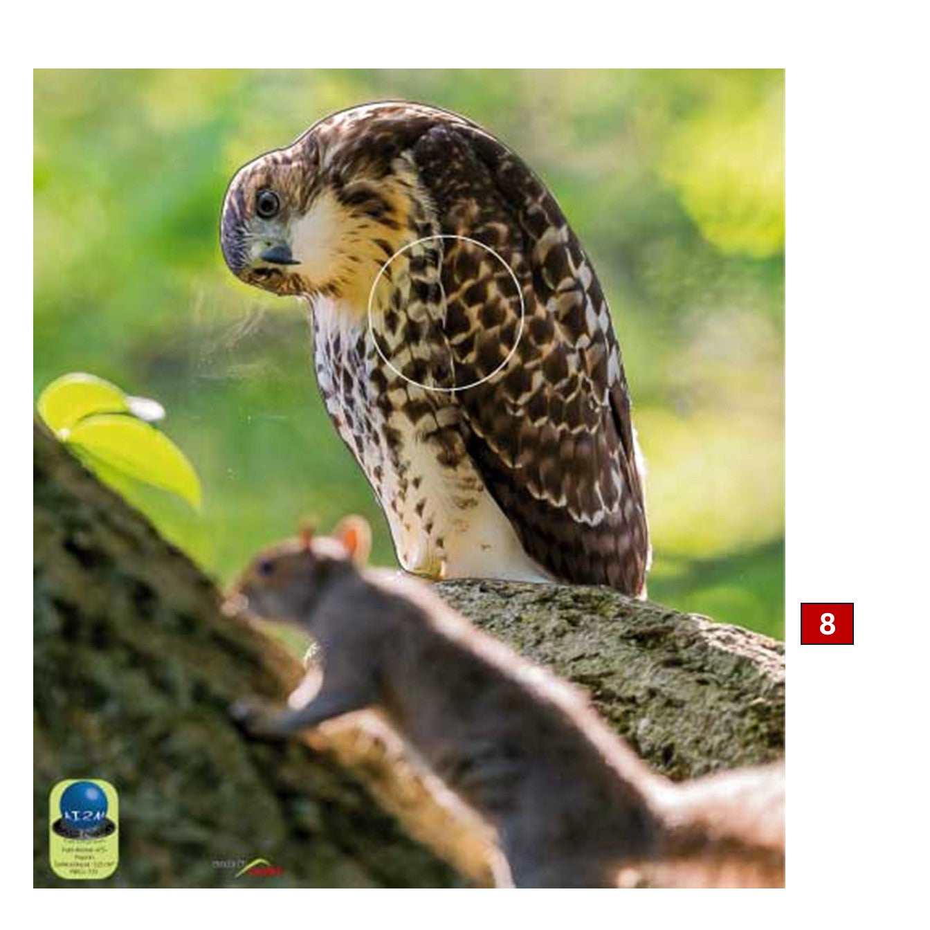 Blasons petits animaux 3 - Ai2M