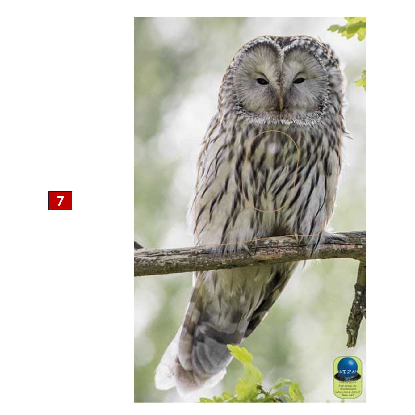 Blasons petits animaux 3 - Ai2M