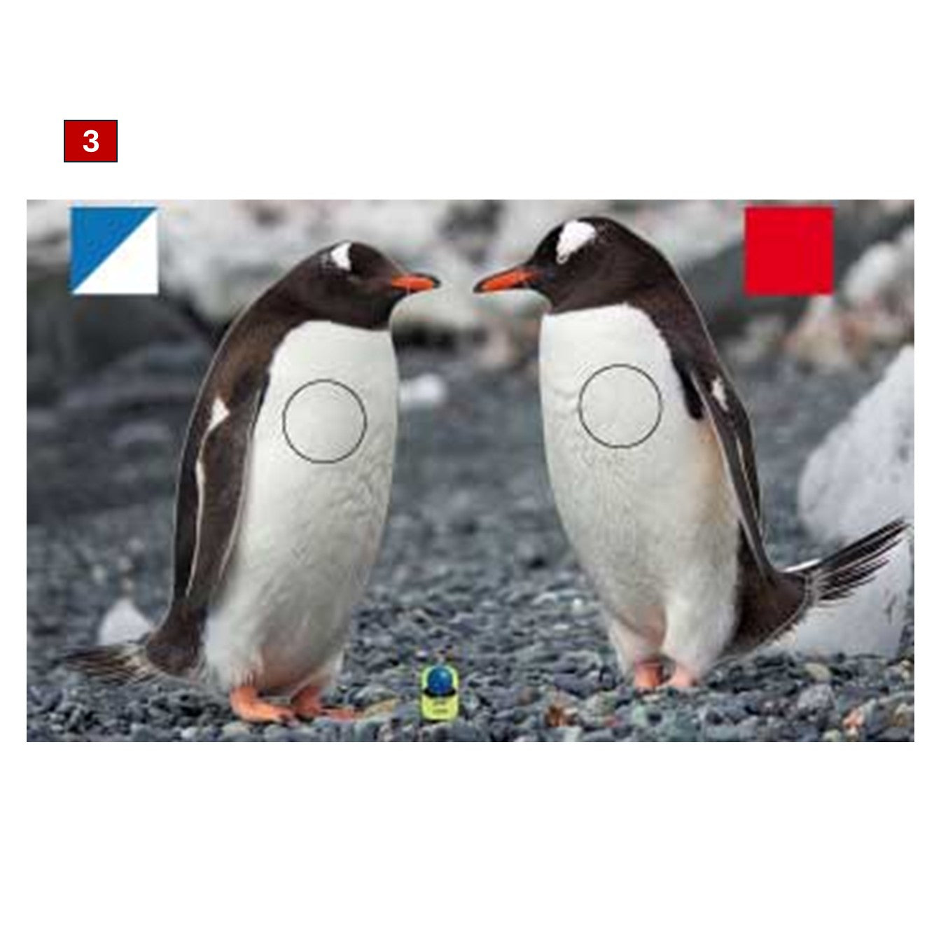 Blasons doubles petits animaux - Ai2M