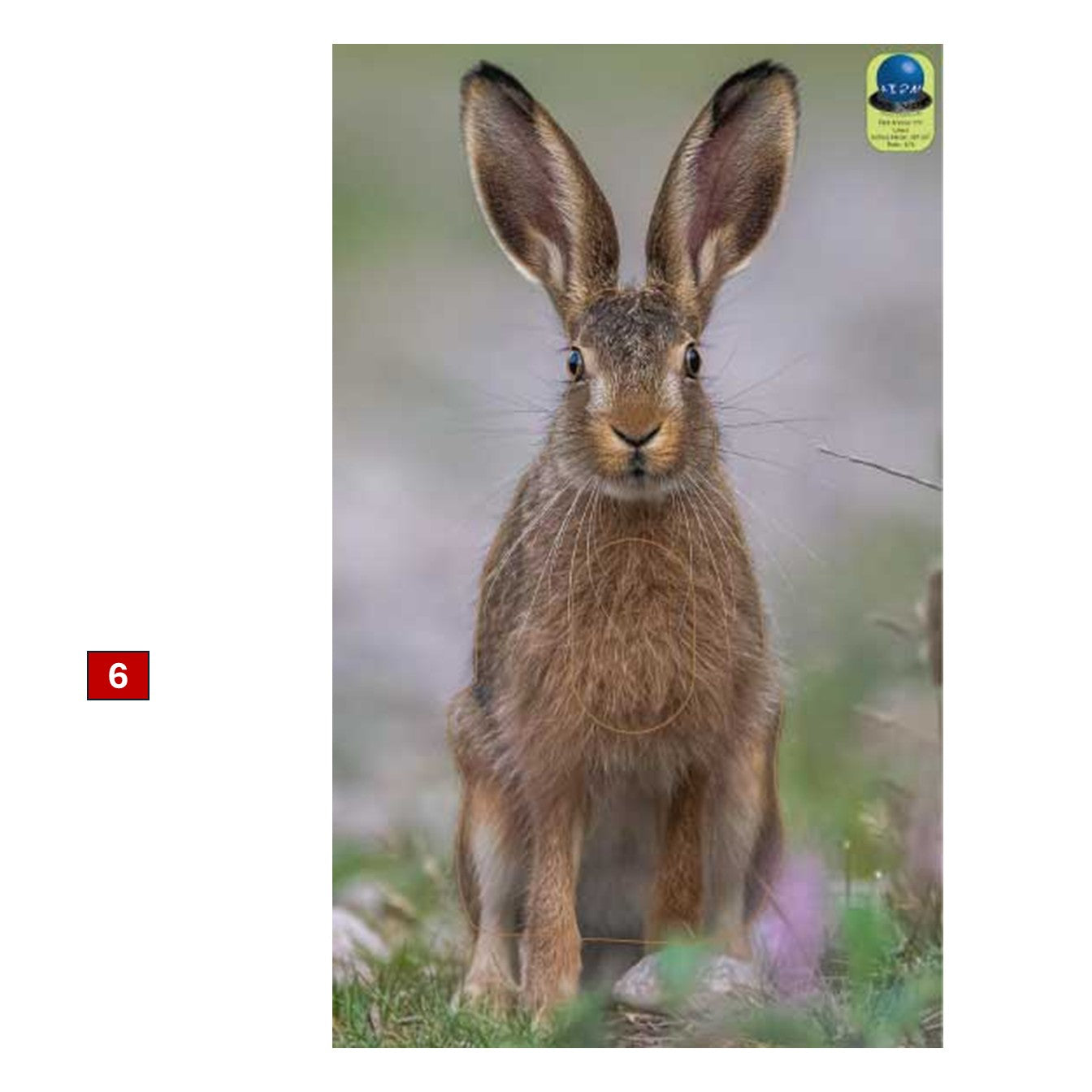 Blasons petits animaux 4 - Ai2M