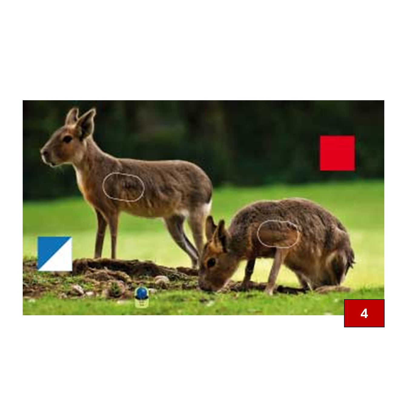 Blasons doubles petits animaux - Ai2M