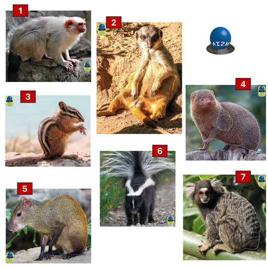 Blasons petits animaux 5 - Ai2M