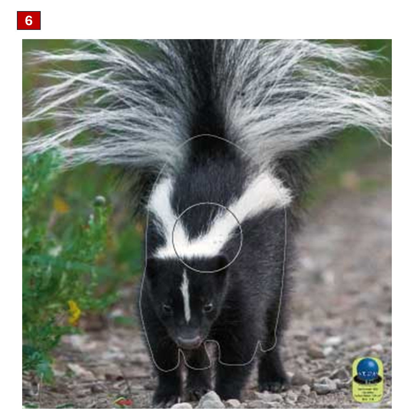 Blasons petits animaux 5 - Ai2M