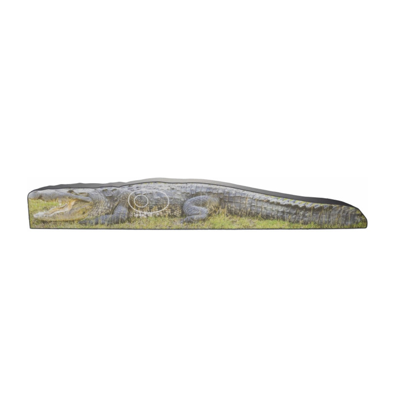 Cible Crocodile photo MFT 2D - BOOSTER