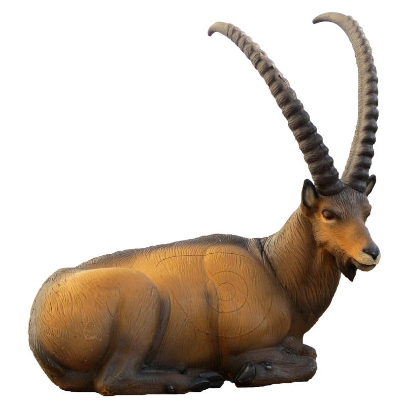 Ibex couché Cible 3D - SRT