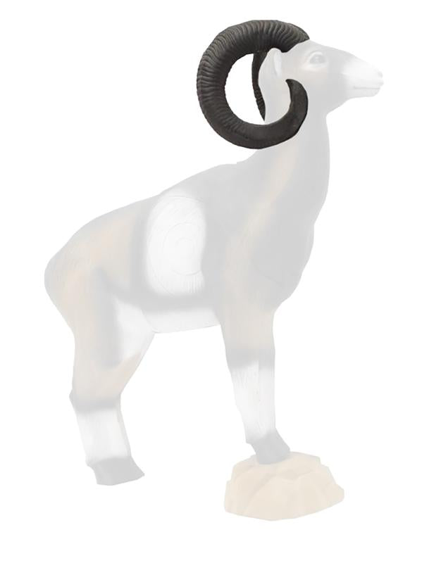 Cornes Mouflon - SRT