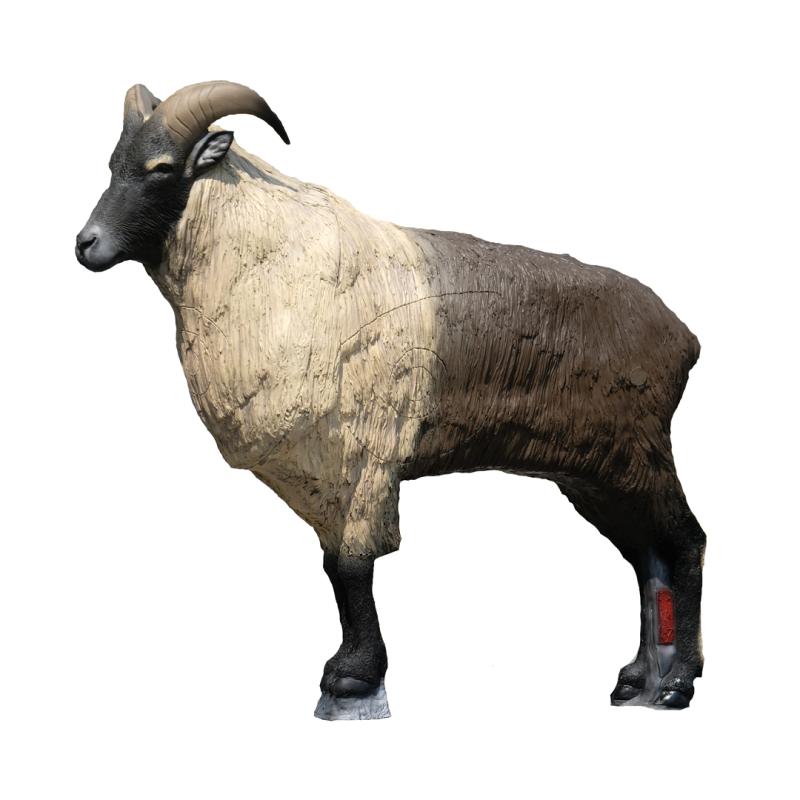 Tahr de l'Himalaya Cible 3D - SRT