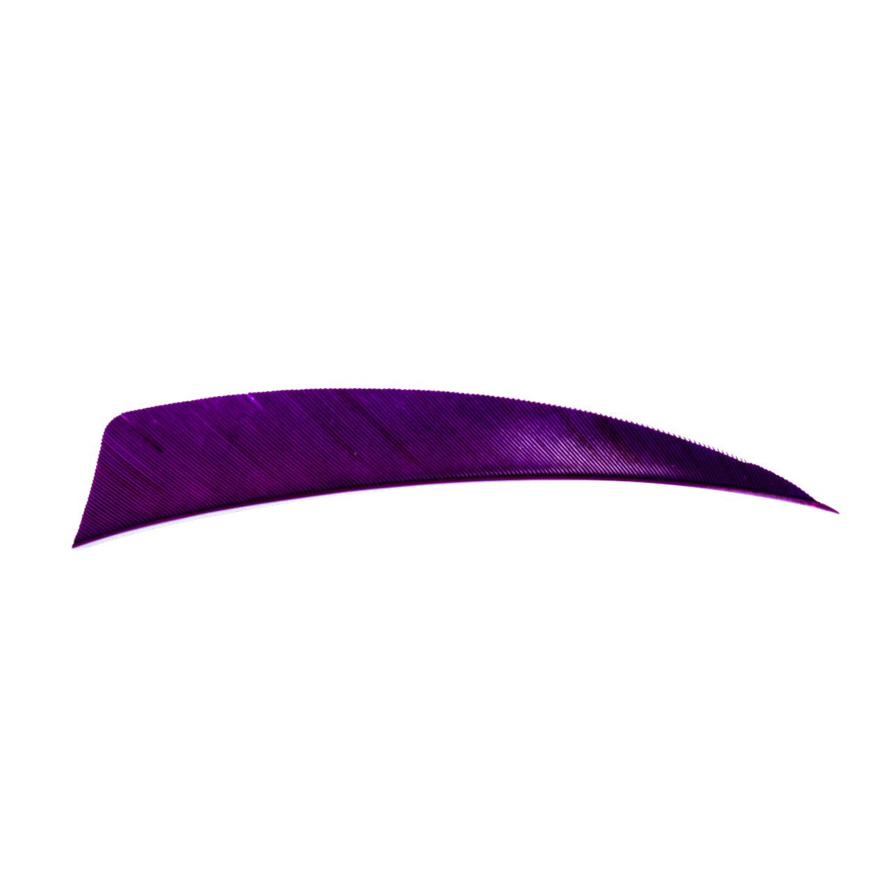 Plume Naturelle Shield 4"