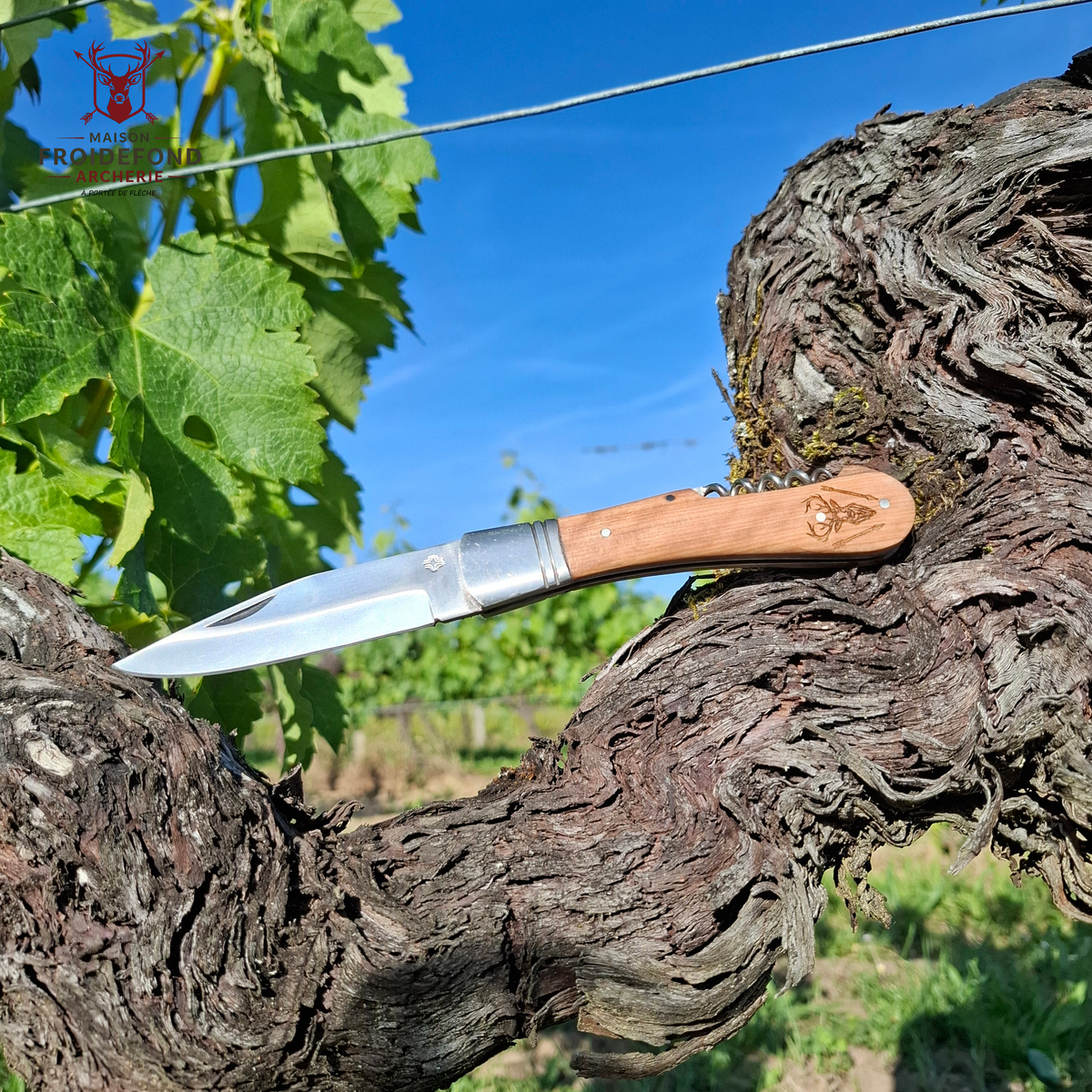 Couteau Vigneron MFA