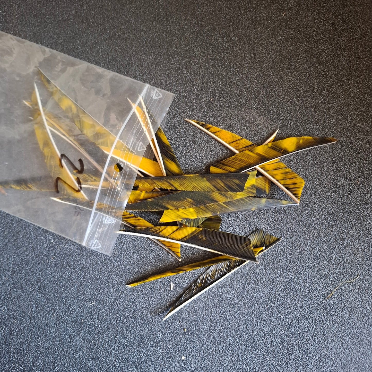 Lot 22 plumes jaune shield 4" - occasion