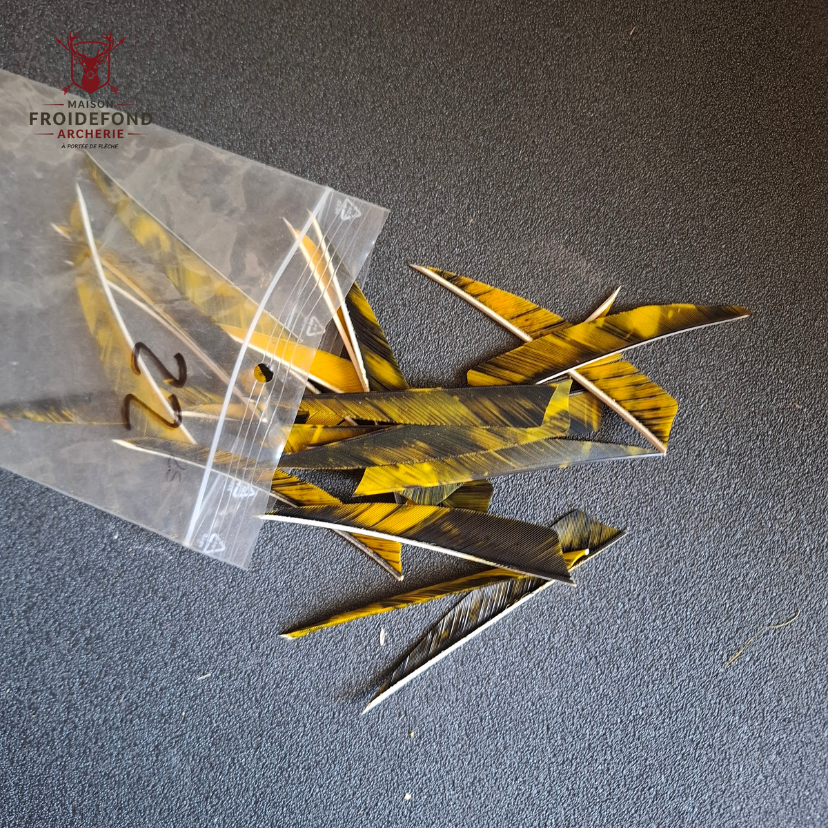 Lot 22 plumes jaune shield 4" - occasion