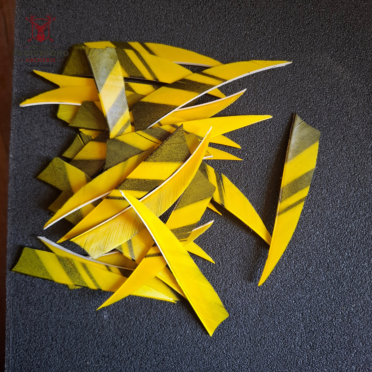 Lot 3p plumes 4" jaune noire shield d’occasion