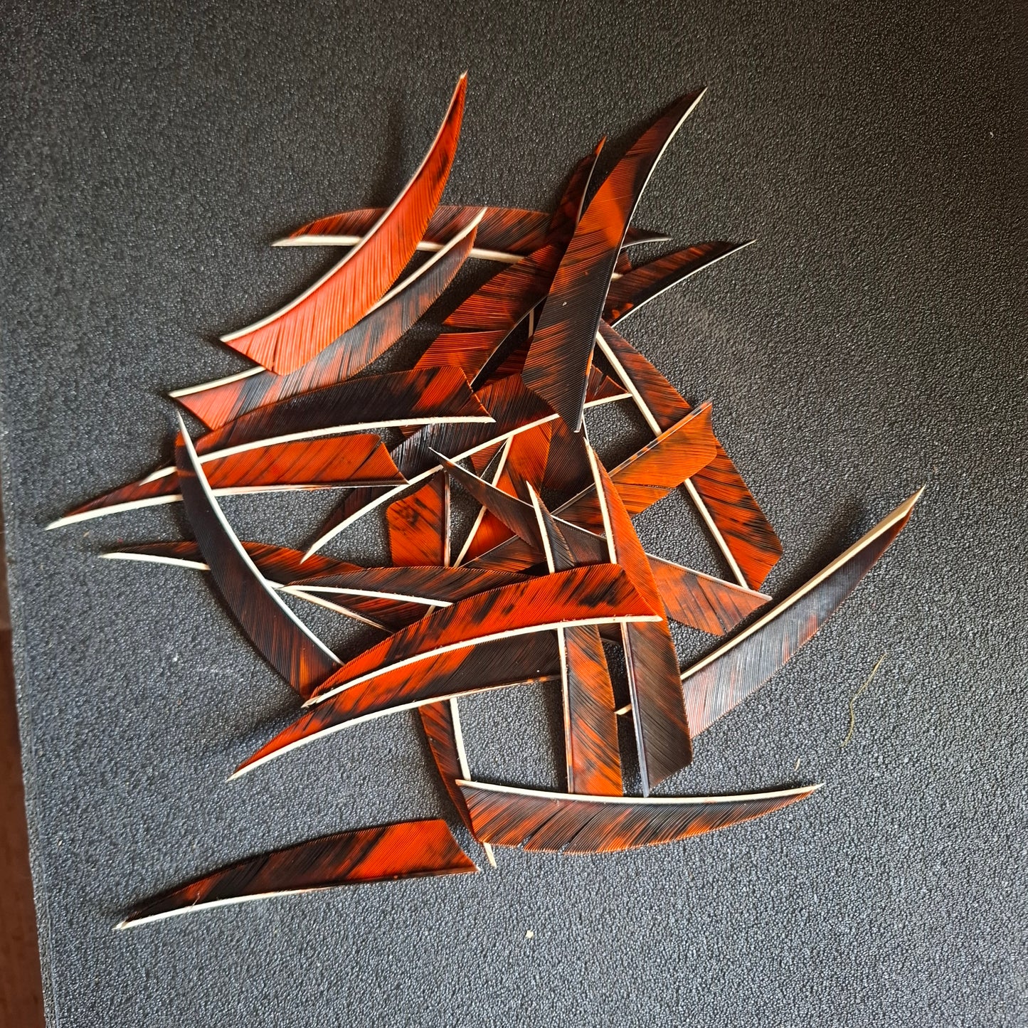 Lot 12 plumes 4" shield orange d’occasion (Copie)