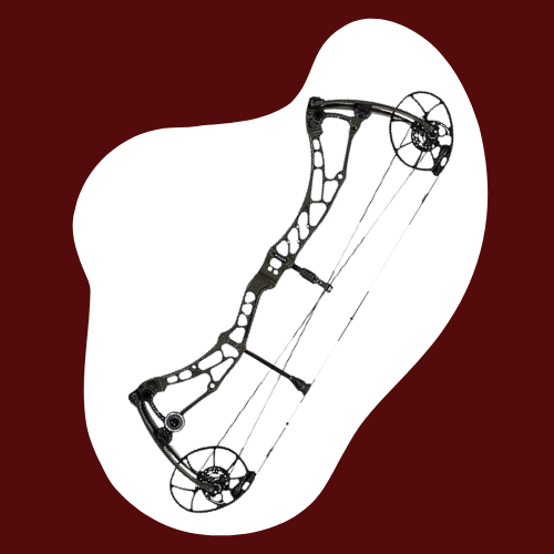 Arcs à Poulie