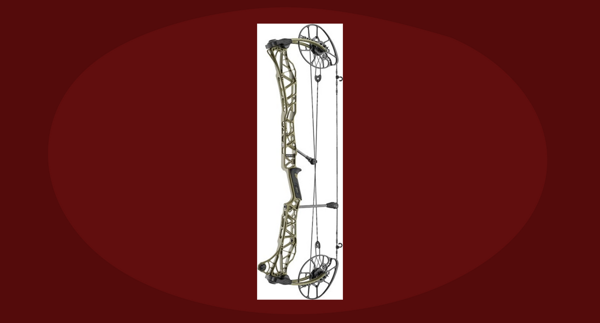 Arcs de chasse