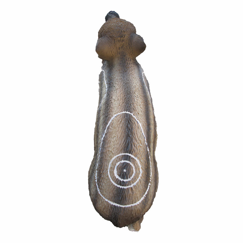 Marcassin Cible 3D jeu de 2 cibles - SRT