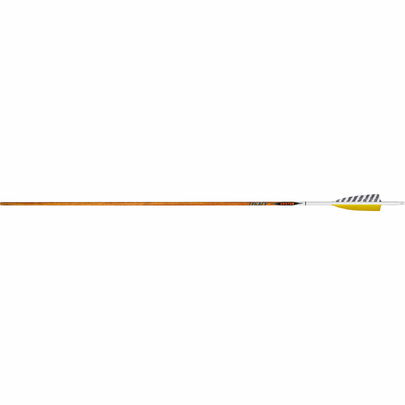 Flèche Legacy  6.5 - Easton