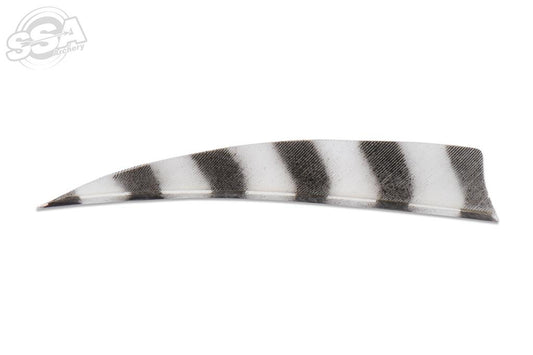 Plume Naturelle Shield Barrée 4"