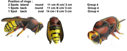 Frelon Cible 3D - SRT