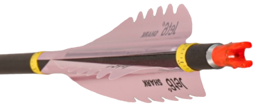 Plume Jet6 Shark 4" x50- Korea Archery