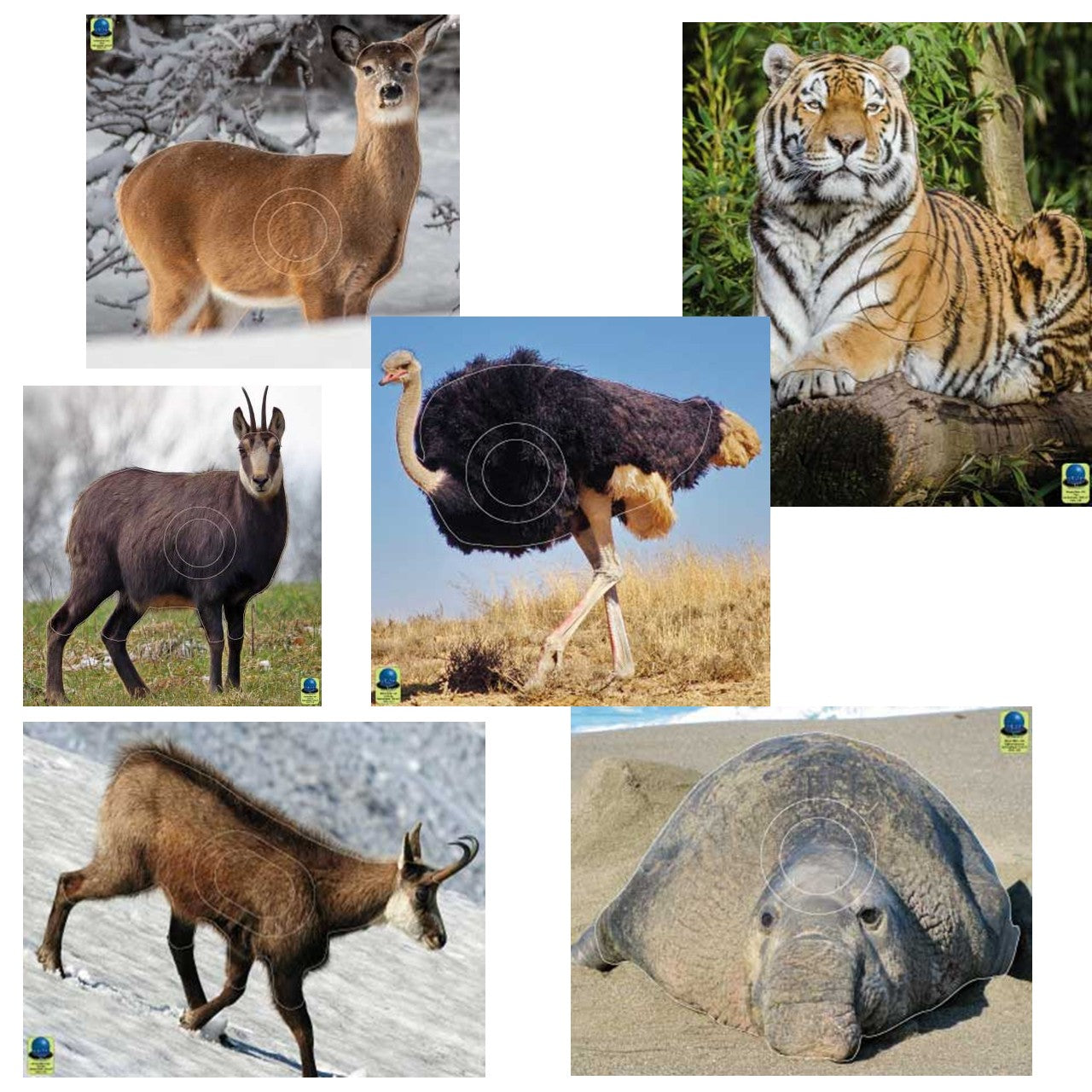 Blasons moyen gibier - Ai2M