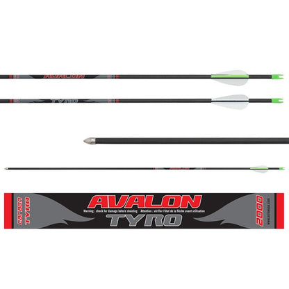 Flèche TYRO ID4.2 - Avalon