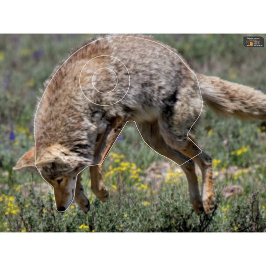 Blason Coyote sauteur - OBO Sticker