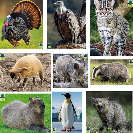 Blasons petit gibier - Ai2M