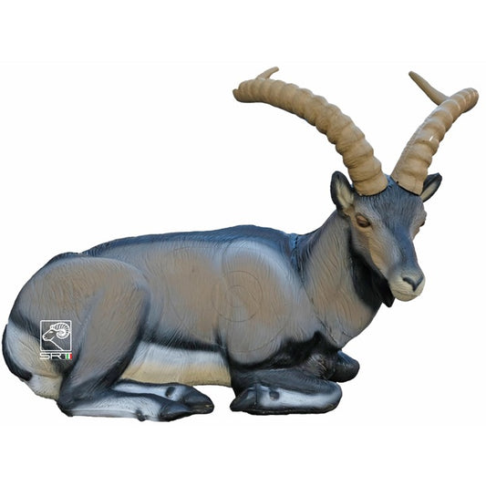 Ibex couché Cible 3D - SRT