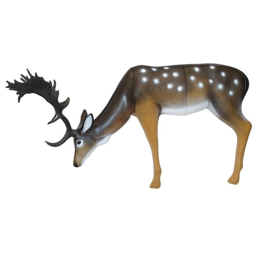 Daim pâturant Cible 3D - SRT