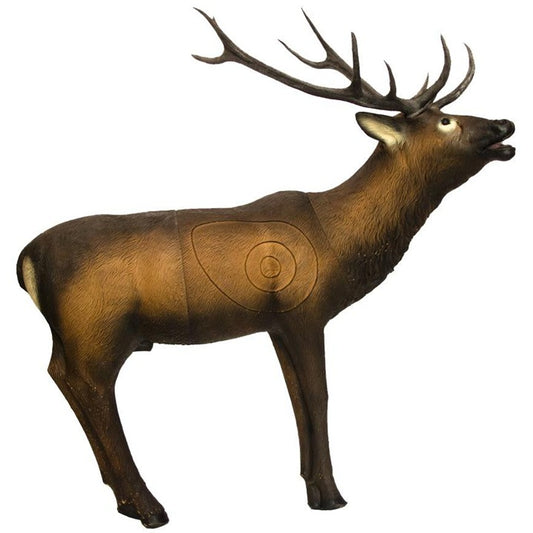 Cerf au brame Cible 3D - SRT