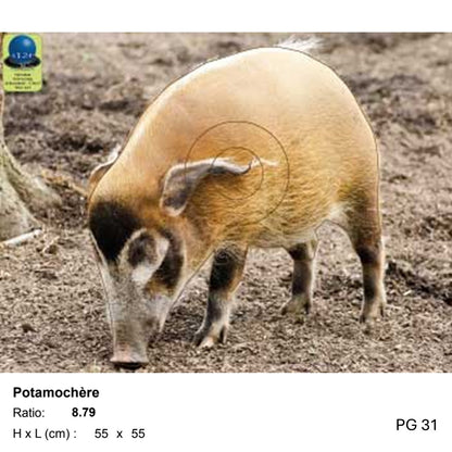 Blasons petit gibier - Ai2M