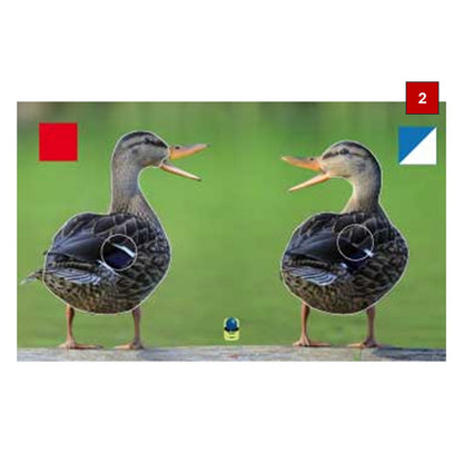 Blasons doubles petits animaux - Ai2M