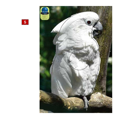 Blasons petits animaux 0 - Ai2M