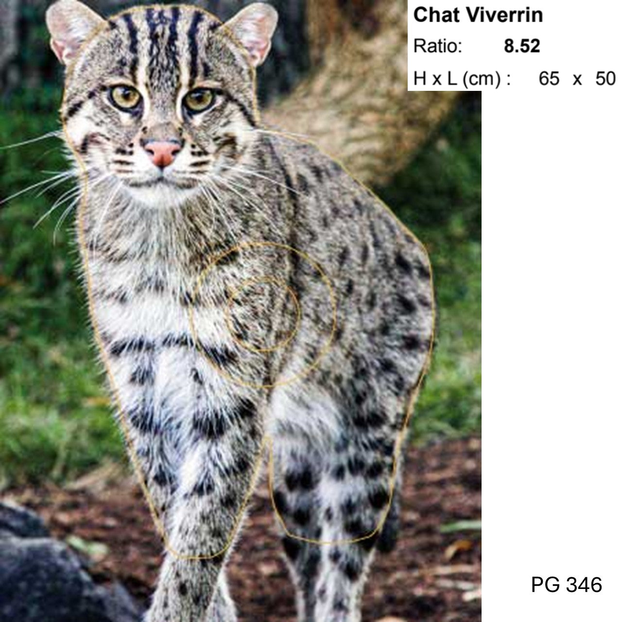 Blasons petit gibier - Ai2M