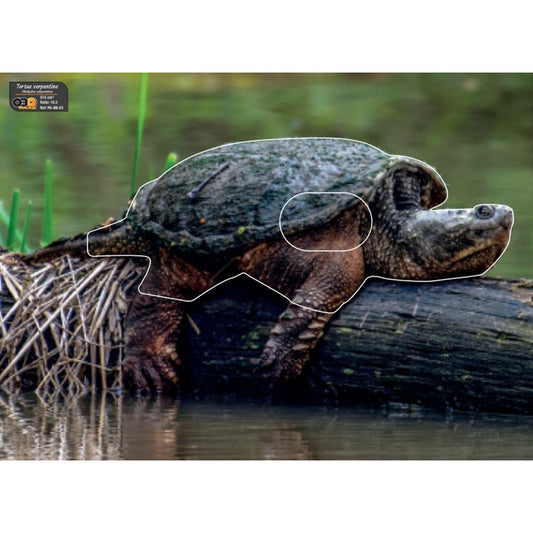 Blason Tortue Serpentine - OBO Sticker