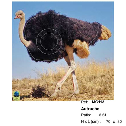 Blasons moyen gibier - Ai2M