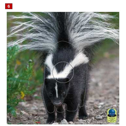 Blasons petits animaux 5 - Ai2M